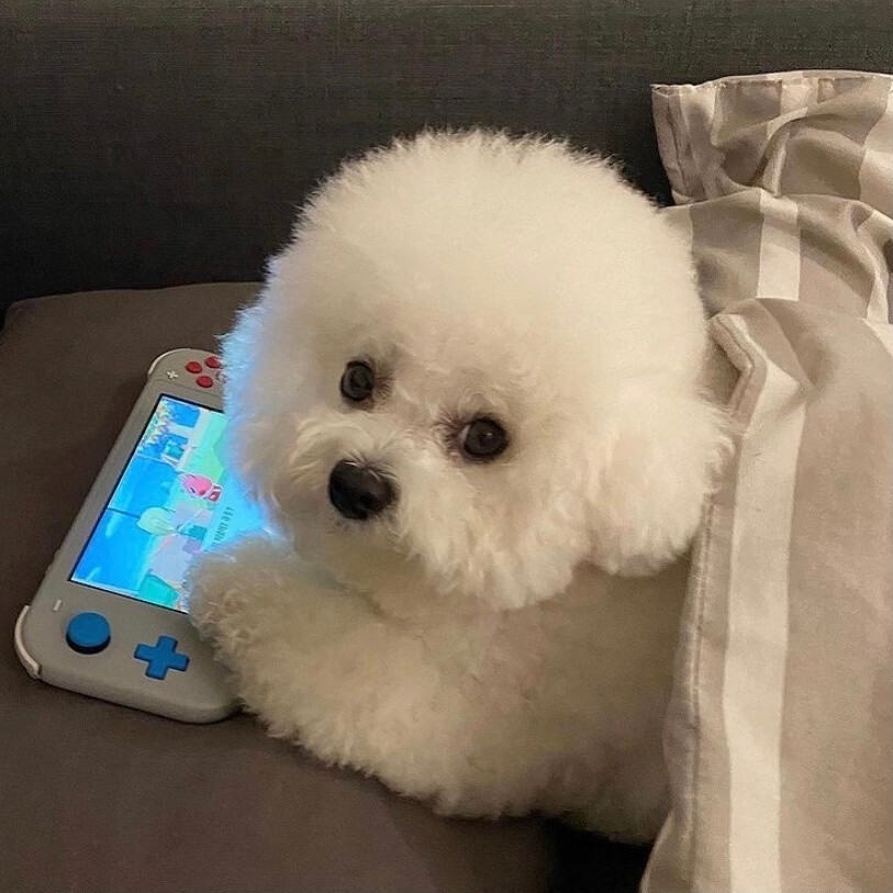 绣春刀全集在线